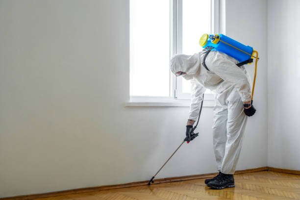 Best Bed Bug Extermination  in Bridgeport, OH